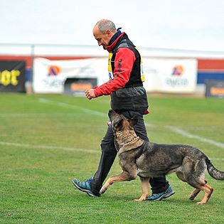 Residencia y Adiestramiento Canino Can Brutus hombre caminando con perro